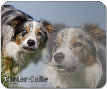 Mousepad Border Collie #13